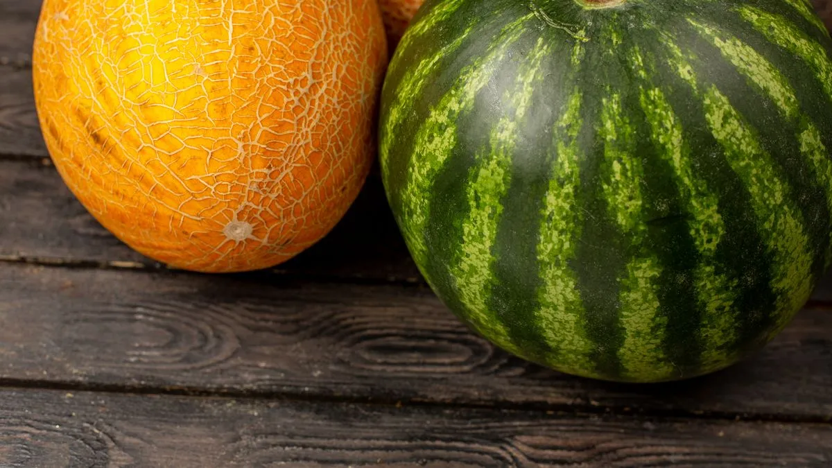 Любите кавуни та дині – уникайте цих продуктів: відомо, з чим краще не поєднувати улюблені літні ласощі