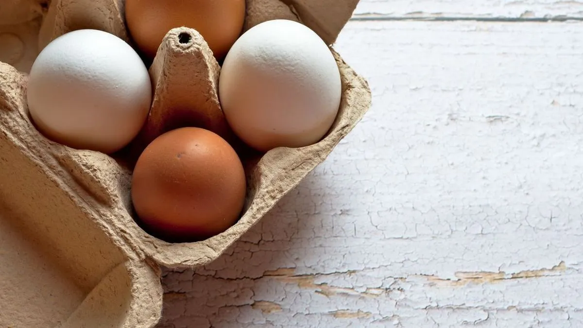 Білі та коричневі яйця: чому колір може бути різним і в чому полягає різниця – відповідь досить очевидна