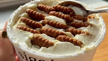 «Японський чизкейк» із двох інгредієнтів: десерт, який TikTok перетворив на тренд