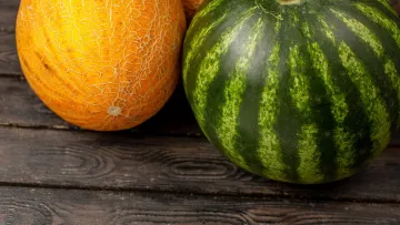 Любите кавуни та дині – уникайте цих продуктів: відомо, з чим краще не поєднувати улюблені літні ласощі