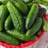 Американські пікулі: як зробити «допи» для бургерів, хот-догів та шаурми