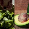 Зелена паста з авокадо від переможниці «МастерШеф»: рецепт, який змусить полюбити цей фрукт
