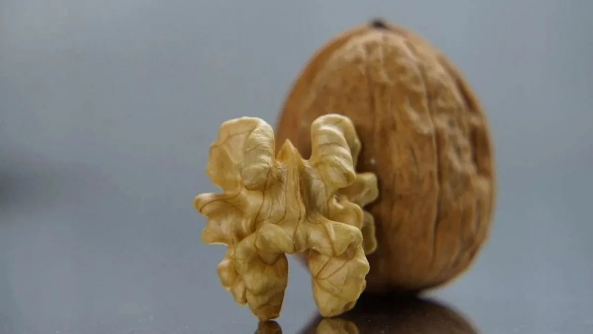 горіх, волоський