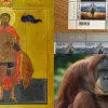 Церковна памʼять, орангутан і поштова марка: що відзначають 19 серпня в Україні та світі