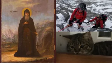 Від церковної памʼяті до Дня котів: які свята відзначають 8 серпня в Україні та світі