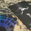 Раки отримають гроші, Водолії – кохання, Стрільці – попередження: гороскоп на 22 серпня за картами Таро