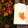 Осіннє читання: від «Ребекки» до нового роману Енн Патчетт, які книжки варто відкрити