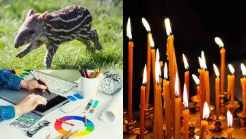 Від церковних традицій до графічного дизайну: які свята відзначають 27 квітня в Україні та світі