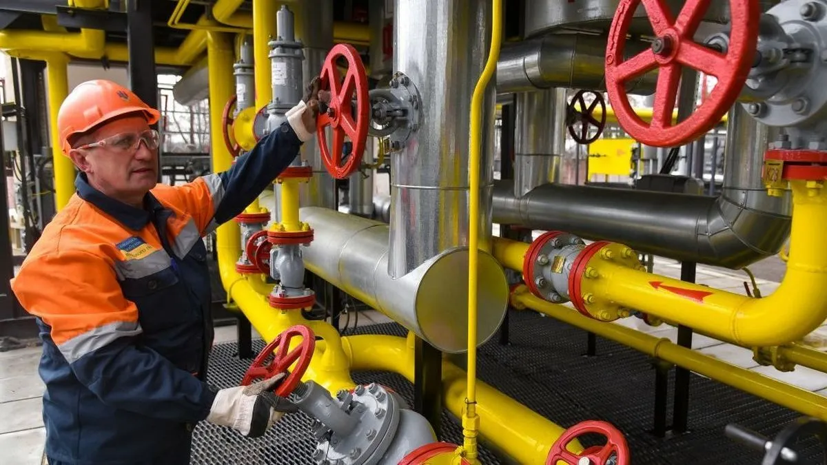 «Уряд України якраз був у відпустці, всі на лижах, а тут Росія перекриває нам газ» - Плачков про газові війни