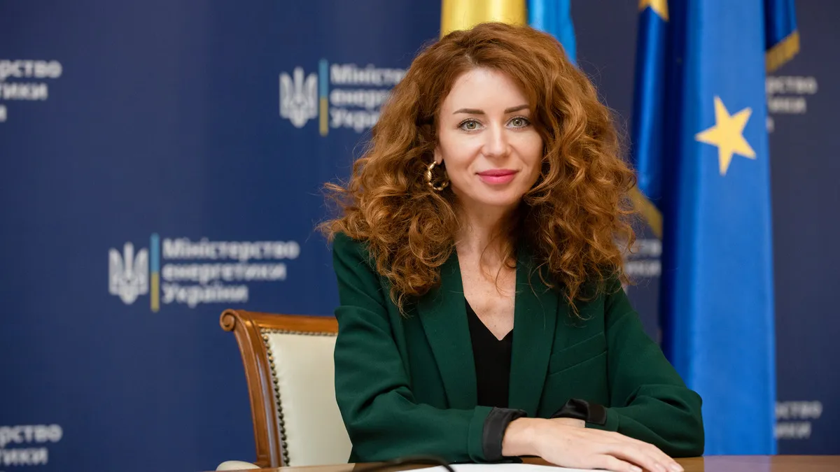 гринчук, енергетика, корупція