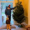 «Хаос»: дружина Бориса Джонсона показала, як їхня сім'я з дітьми прикрасила новорічну ялинку