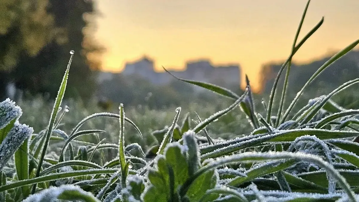 Яка погода завтра, 28 квітня: що відомо про небезпечні та стихійні метеорологічні явища по Україні