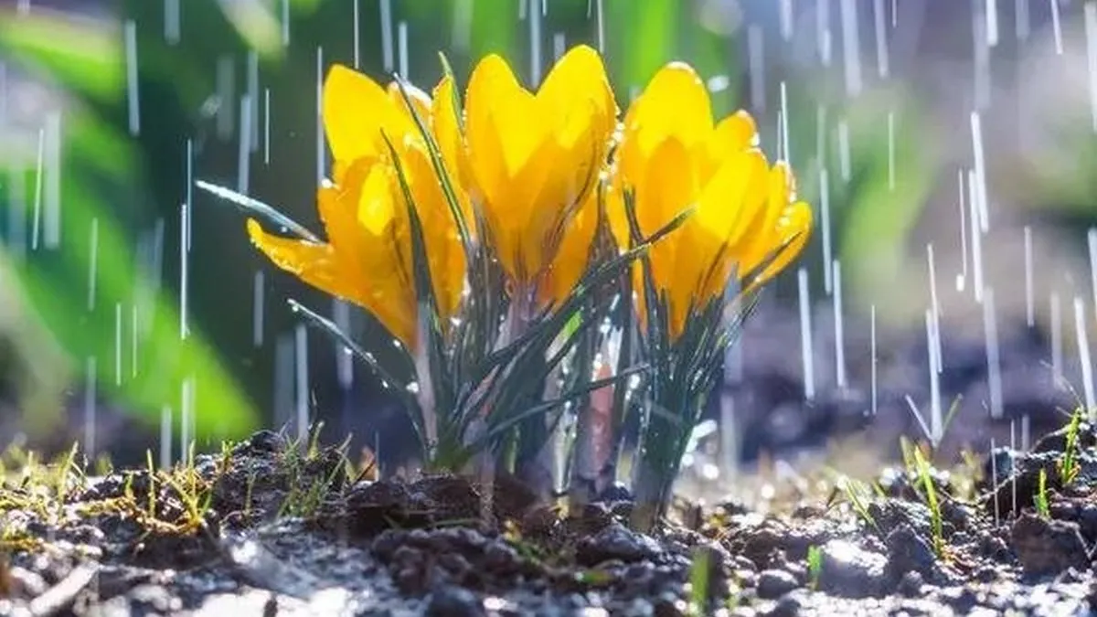 Яка погода завтра, 1 квітня: в перший день нового місяця українців очікує тепло та дощі