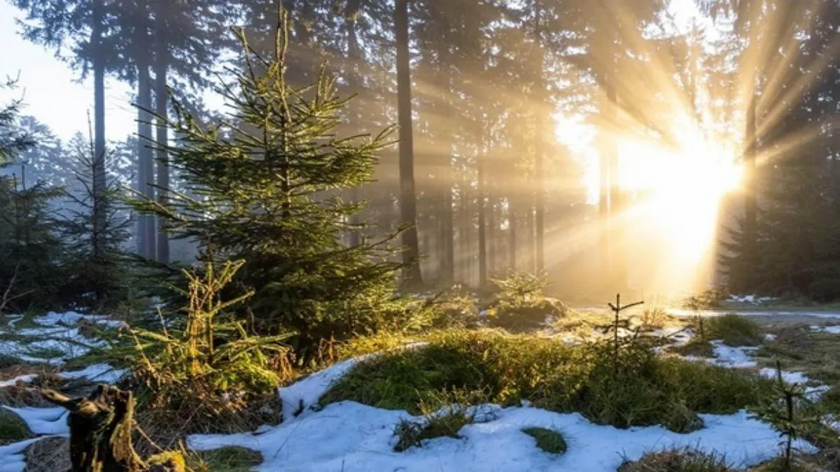 Яка погода завтра, 4 грудня: Україна потрапить у зону масштабного антициклону