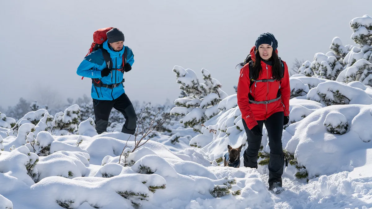 Секрет ідеального пуховика розкрито: який наповнювач справді гріє і не парить