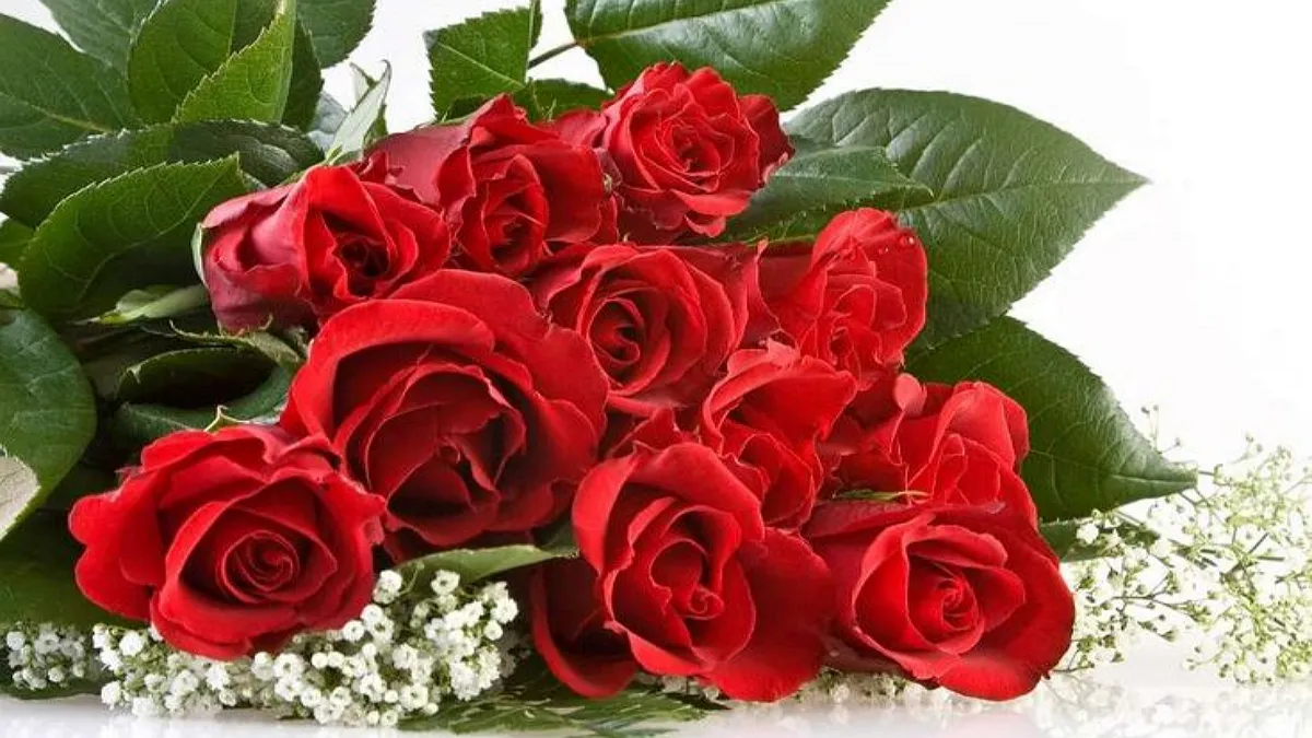 Який букет обрати для жінки на свято весни: таємна мова тюльпанів та троянд у великому огляді