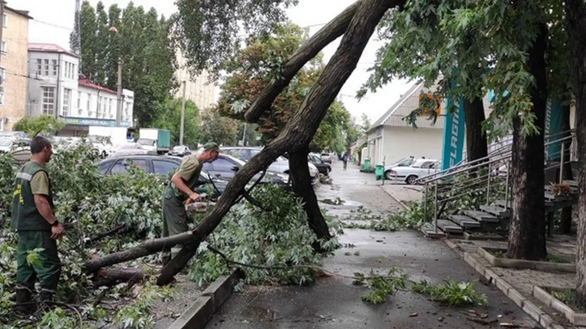 Харків накрило потужним штормом із грозою: частина міста залишилася без світла, є постраждалі – відео негоди