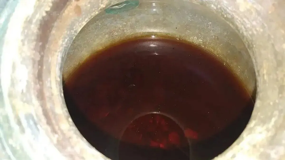 В Іспанії знайшли 2000-річне вино в римській гробниці: археологи зробили унікальне відкриття