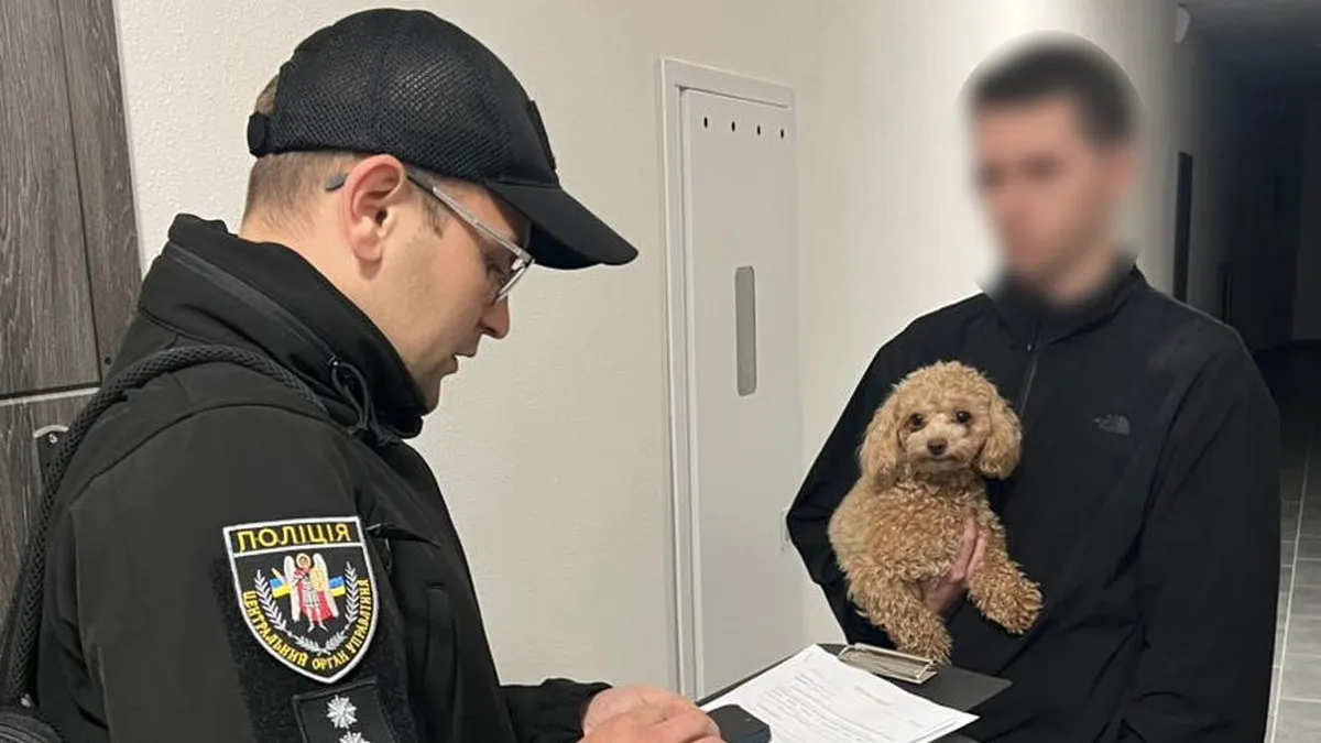 Кіберполіція України допомогла США викрити шахрайську схему на $1,5 млн: жертвою стала комісія з азартних ігор