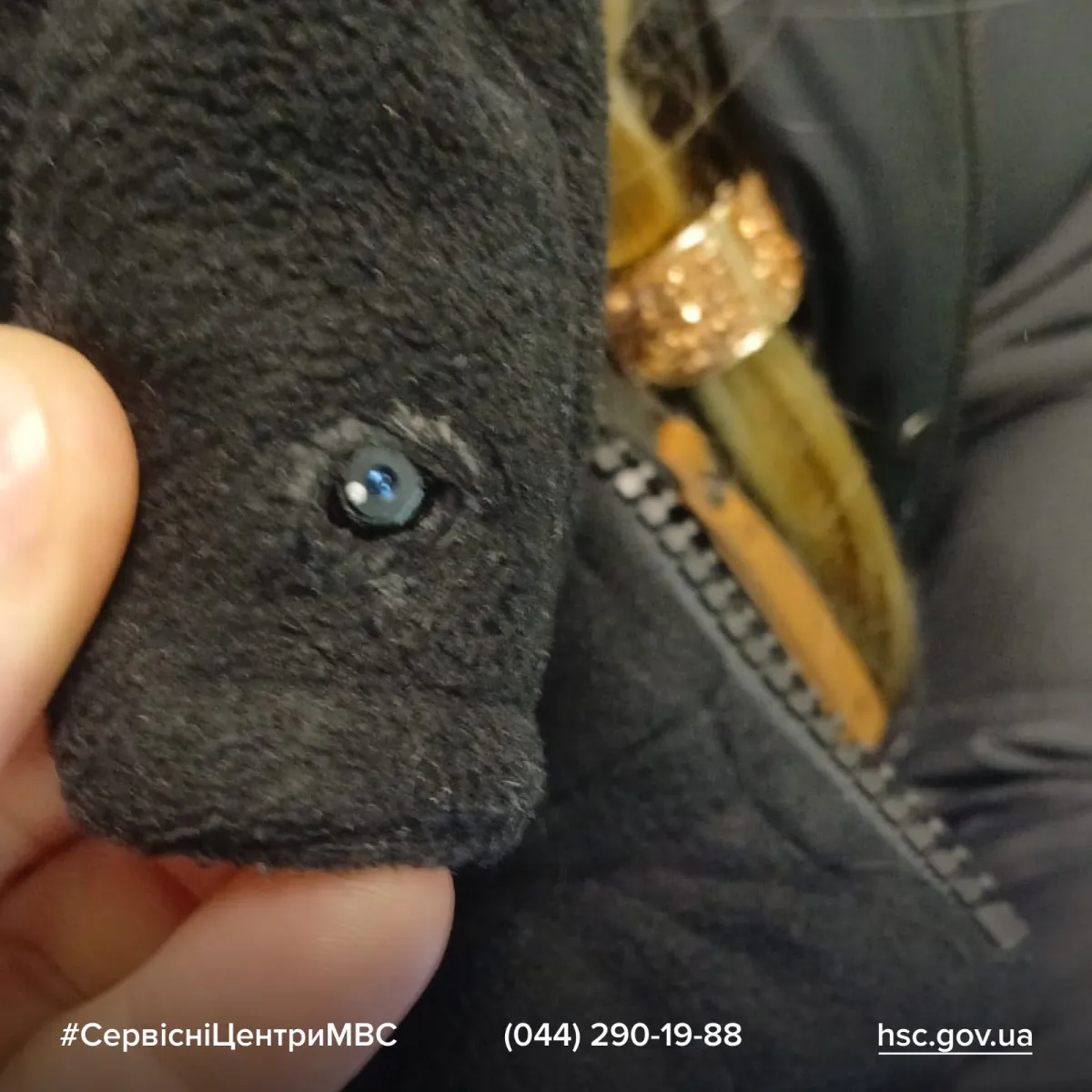 пдр, мвс, камера