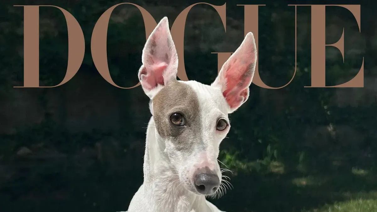 Сер Спад підкорив журі: хто став обличчям Dogue 2026