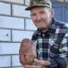Земля любить працьовиті руки: на Волині чоловік виростив картоплину вагою понад 1,2 кг
