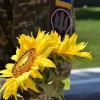 День пам'яті Захисників і Захисниць: історія дати, пов'язаної з «зеленим коридором»
