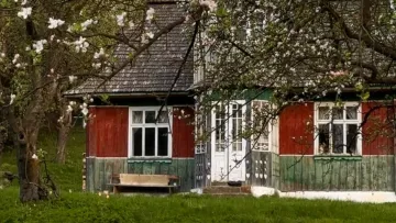 «Роботи було дуже багато»: як киянка перетворила 100-річну карпатську хату на райський куточок