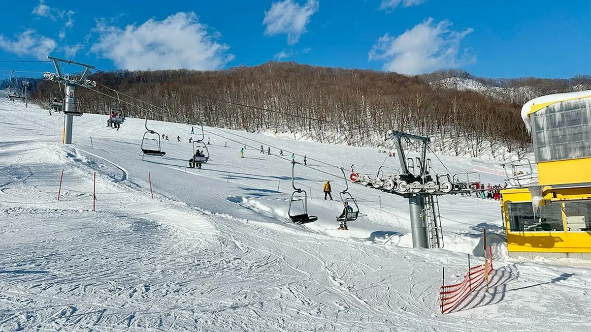 Затягло у підйомник: в Японії трагічно загинув 5-річний хлопчик