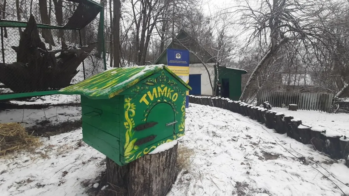 Весна прийде за 6 тижнів: бабак Тимко побачив свою тінь та дав прогноз