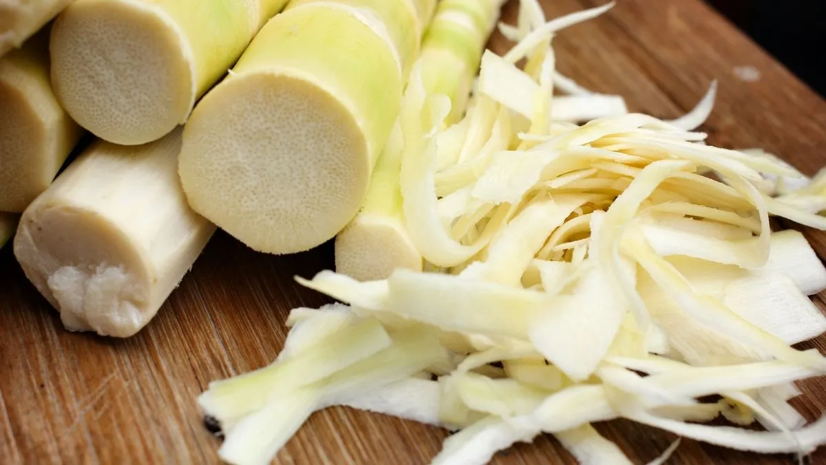 Бамбук називають новим «суперфудом»: у чому користь і які ризики їжі панд для людей