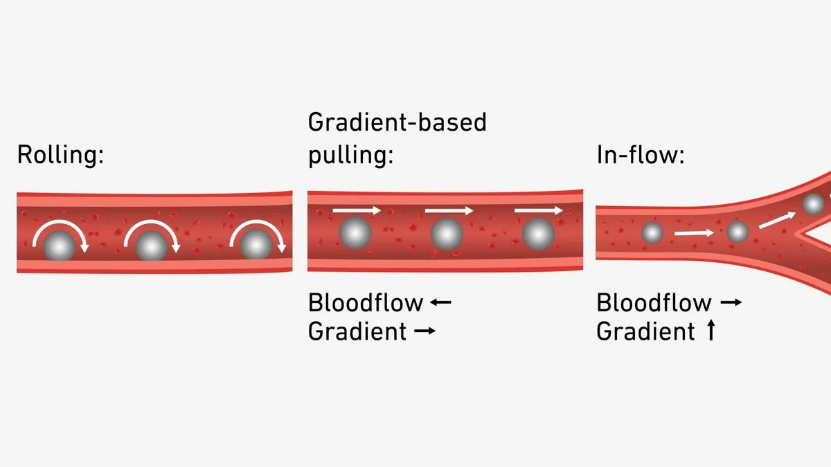 мікроробот, судини