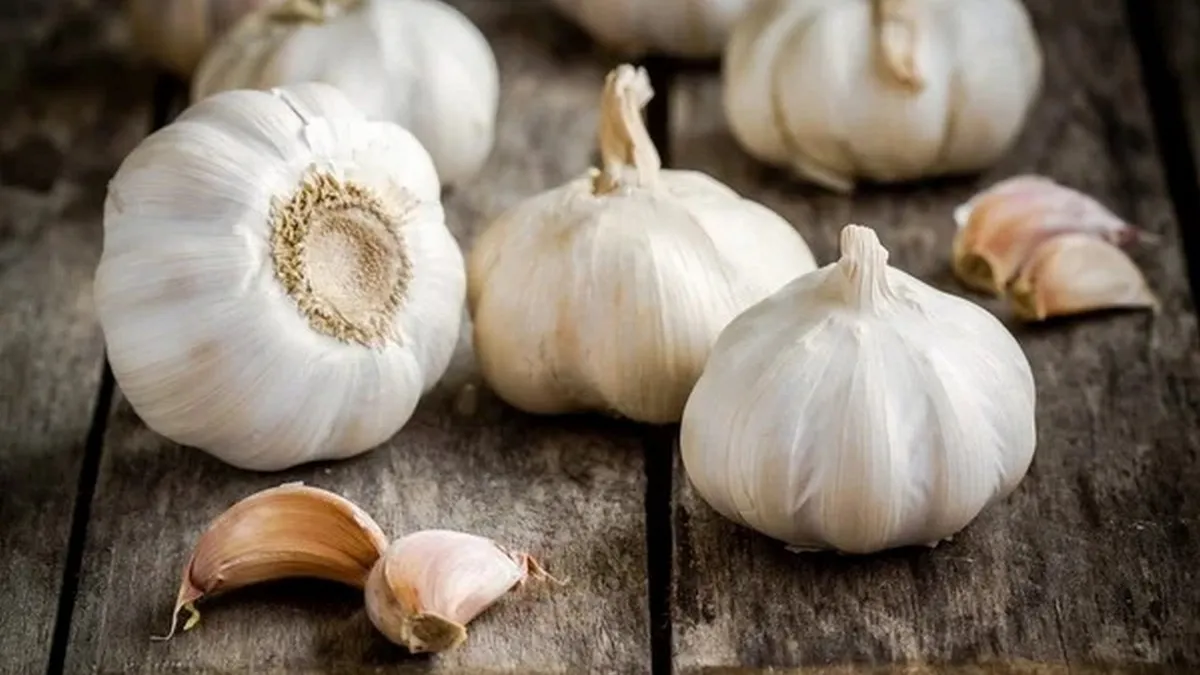 Лише у квітні: чим саме потрібно підживити часник, щоб головки виросли розміром із кулак