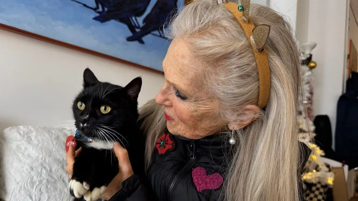 кіт, США, виживання