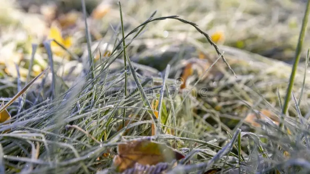 Яка погода завтра, 25 квітня: де в Україні очікувати заморозки та сильні пориви вітру