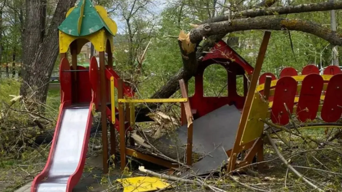 Дерево впало на дитячий майданчик, де грались дві дівчинки: чи вдалося уникнути трагедії 