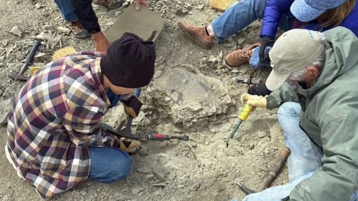 Сенсаційна знахідка у США: 11-річний хлопчик виявив черепаху віком 50 мільйонів років