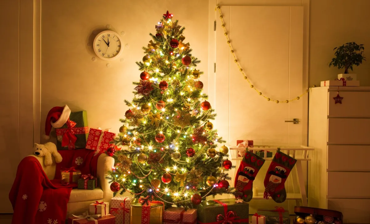 ялинка, будинок, різдво