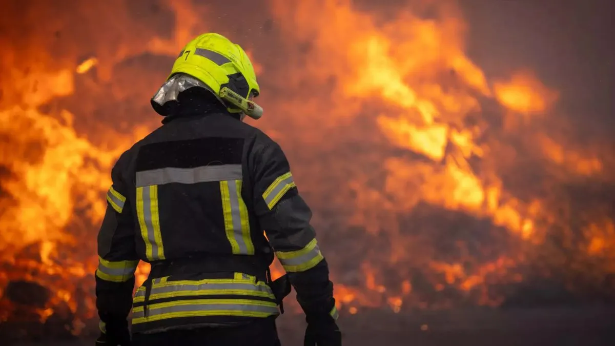 65 рятувальників та 18 одиниць техніки: на Одещині сталась масштабна пожежа – що горіло, чи є потерпілі