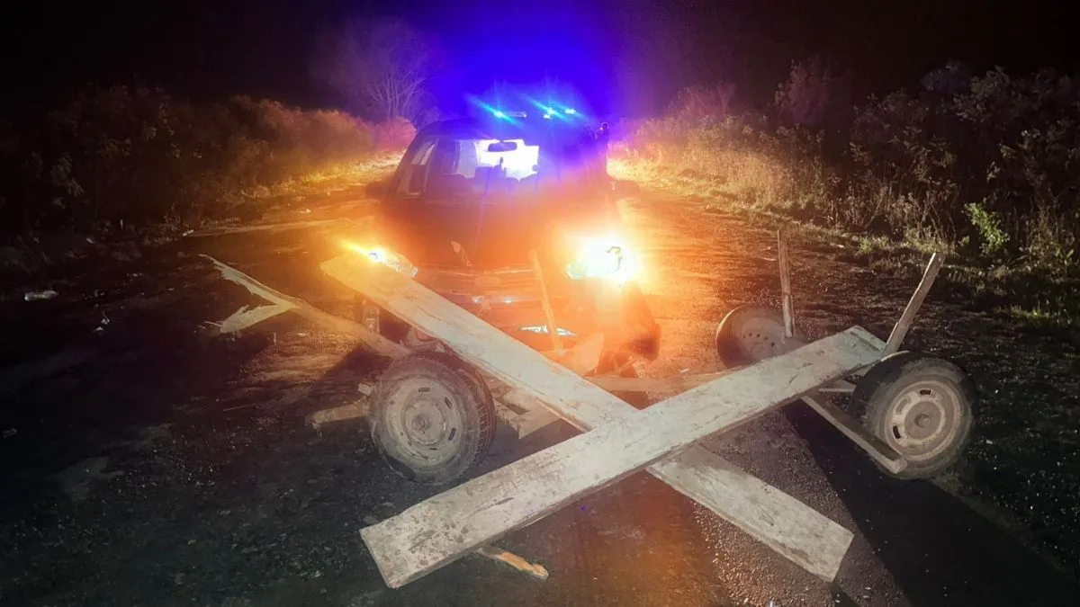 На Львівщині Mercedes влетів на швидкості у підводу: чи вижив кінь та фірман і хто винен у ДТП