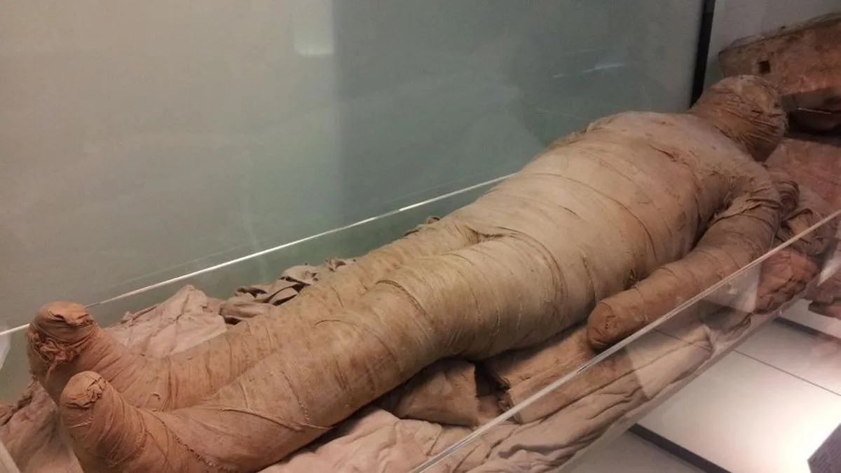 Муміфіковане тіло у київській квартирі: поліція розслідує обставини шокуючої знахідки