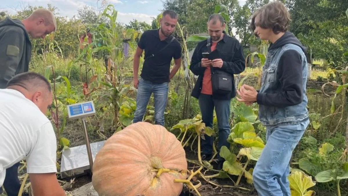 Хлопчина з Сум виростив гігантського гарбуза: кабак затягнув на кілька центнерів – фото