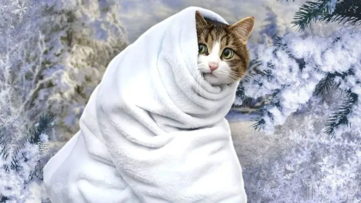 «Готується свіжіша повітряна маса до нас завітати»: синоптикиня розповіла, коли в Україні вдарять морози