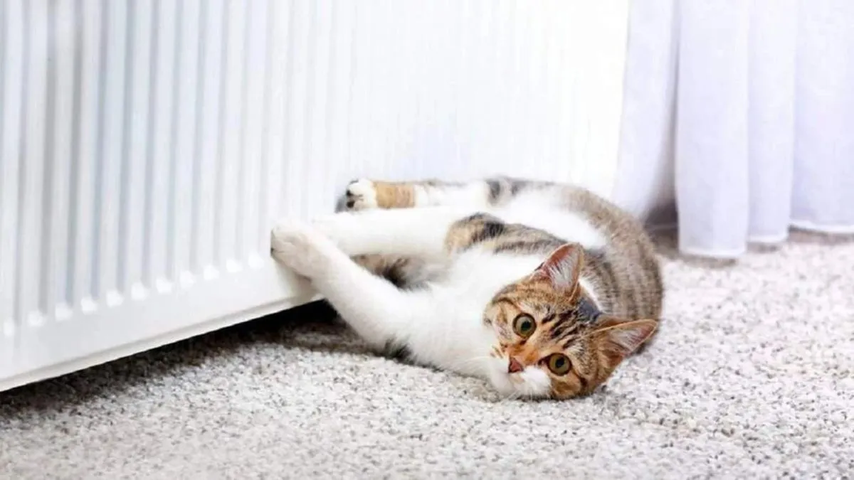 Кінець опалювального сезону 2025/26 років: в яких українських містах батареї вже не грітимуть