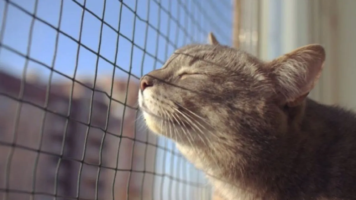 Яка погода завтра, 22 березня: у більшості областей України буде суха погода, опади – лише в Криму і Карпатах