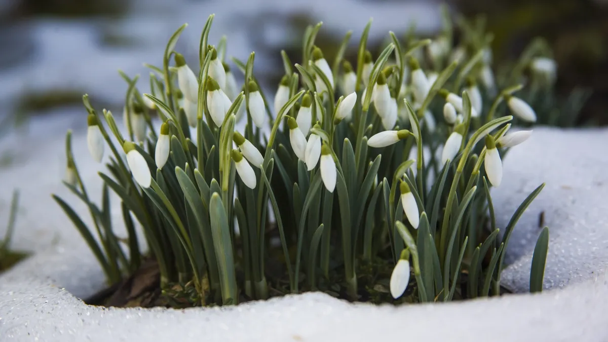 Яка погода завтра, 2 березня: синоптик дав прогноз, якою буде температура повітря у понеділок