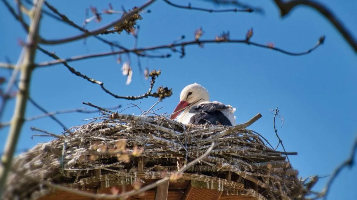 Яка погода завтра, 12 квітня: на Великдень в Україні майже у всіх областях дощитиме, але потеплішає