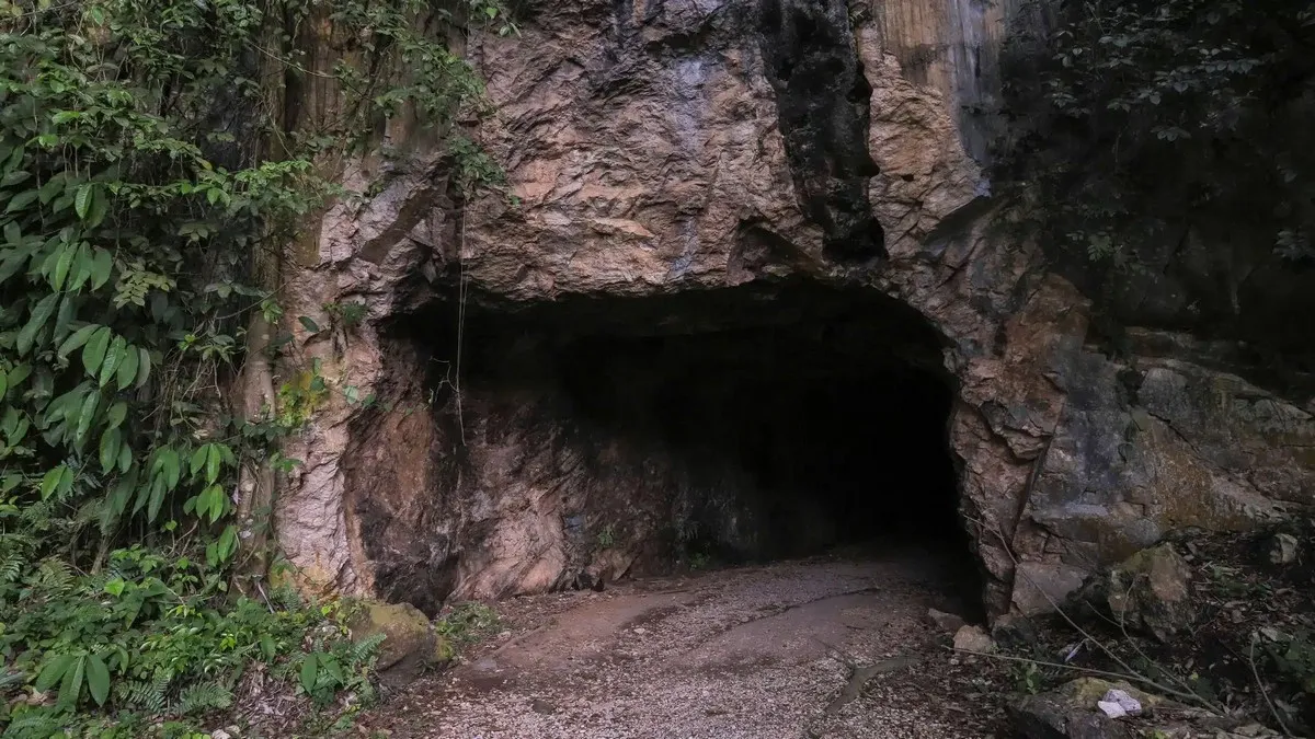 Найдовша печерна система на Землі: які рідкісні види тварин ховаються там під землею