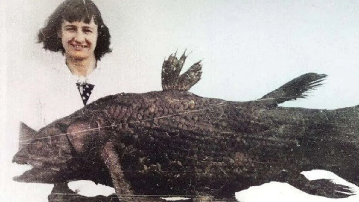 Жива «вимерла» риба: як випадкова знахідка у 1938 році перевернула уявлення науковців про еволюцію