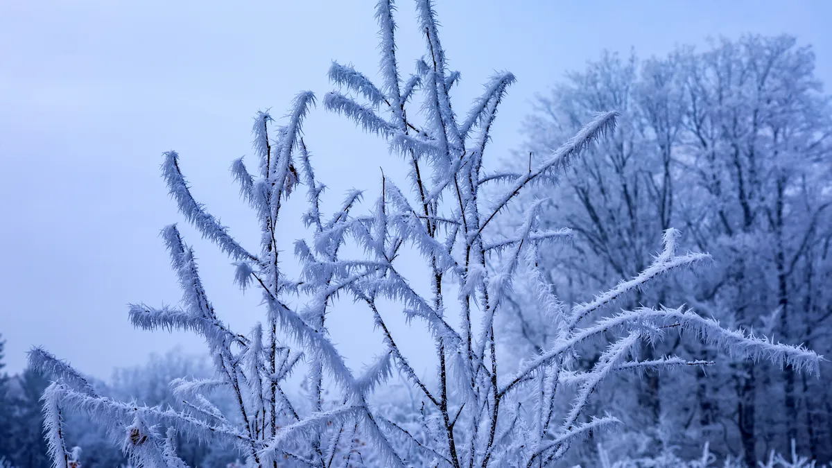 Прогноз погоди на завтра, 20 січня: синоптики повідомили, чи відступлять з України морози у -20°С